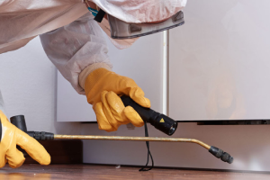 Messie Schädlingsbekämpfung Heinsberg